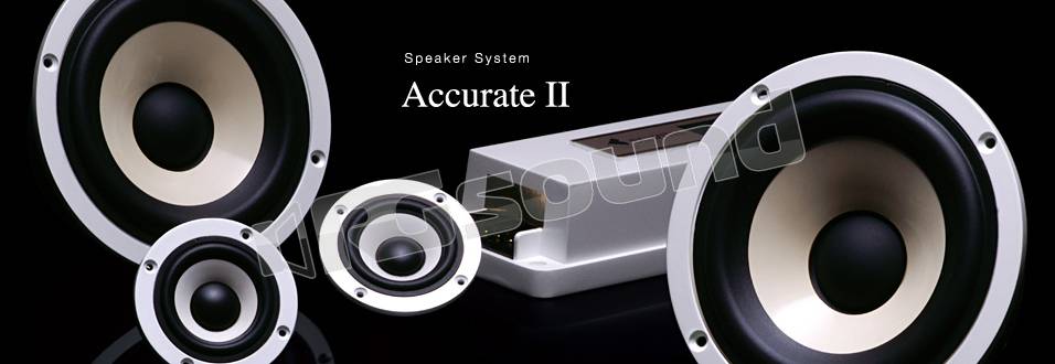 BEWITH Accurate A-50II A-130II-