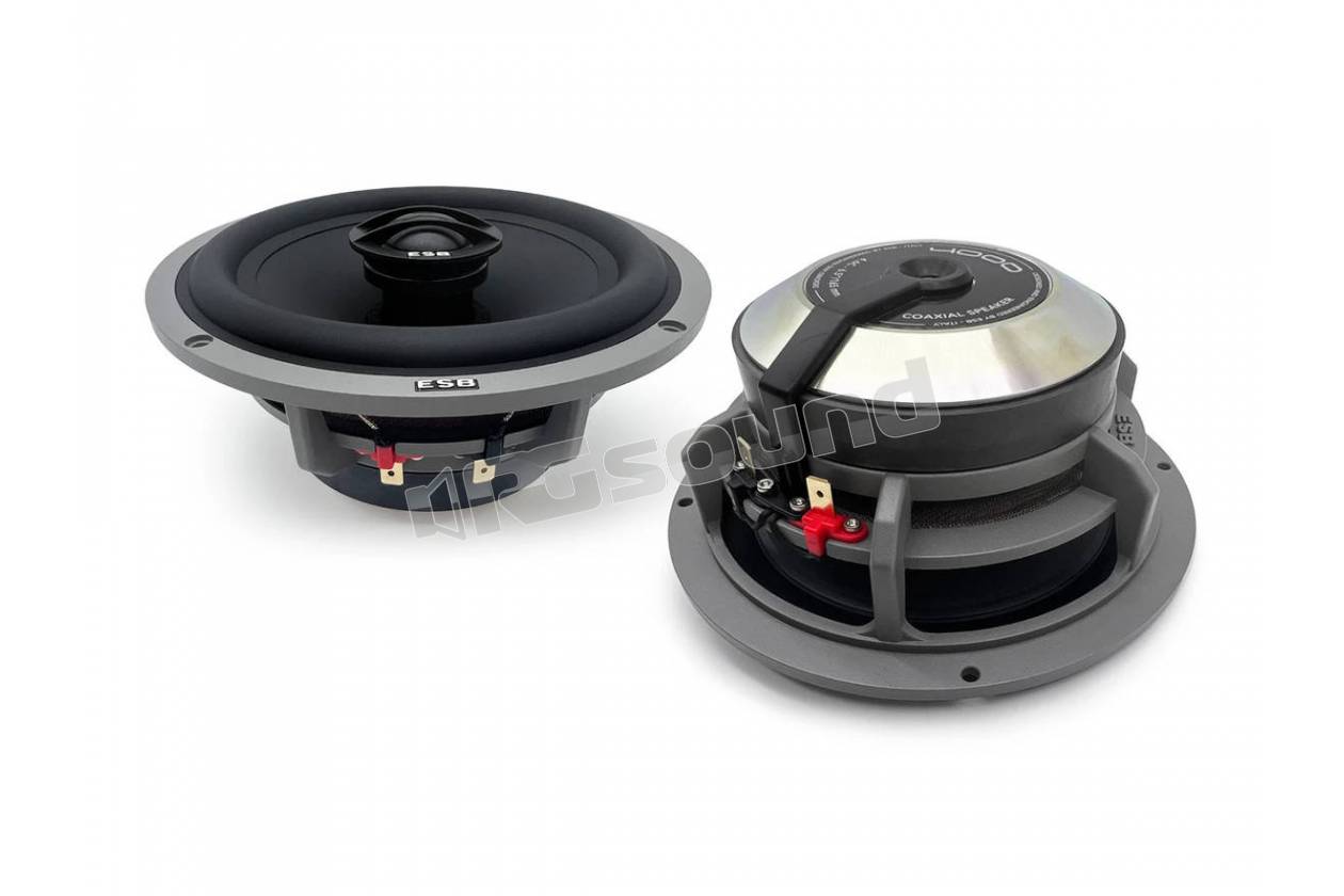 ESB car audio 4.6C